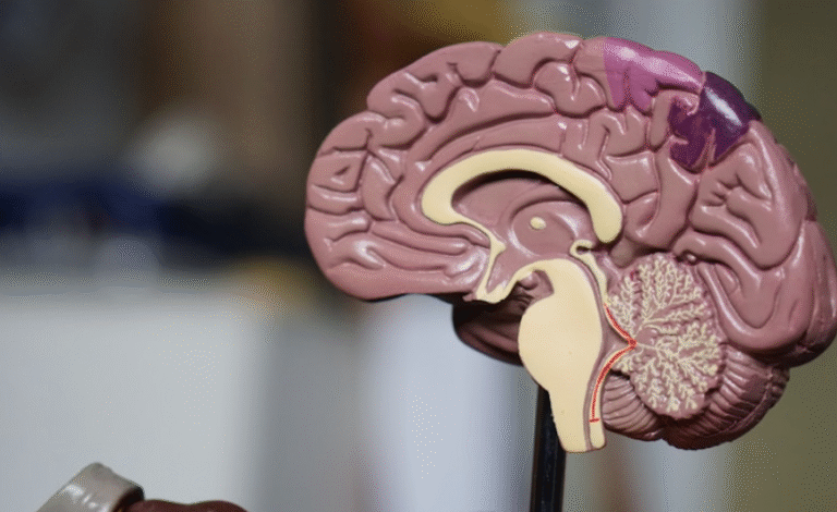 Why Good Communication Starts With Listening: The Skill Everyone Needs But Few MasterWhy Good Communication Starts With Listening: The Skill Everyone Needs But Few Master